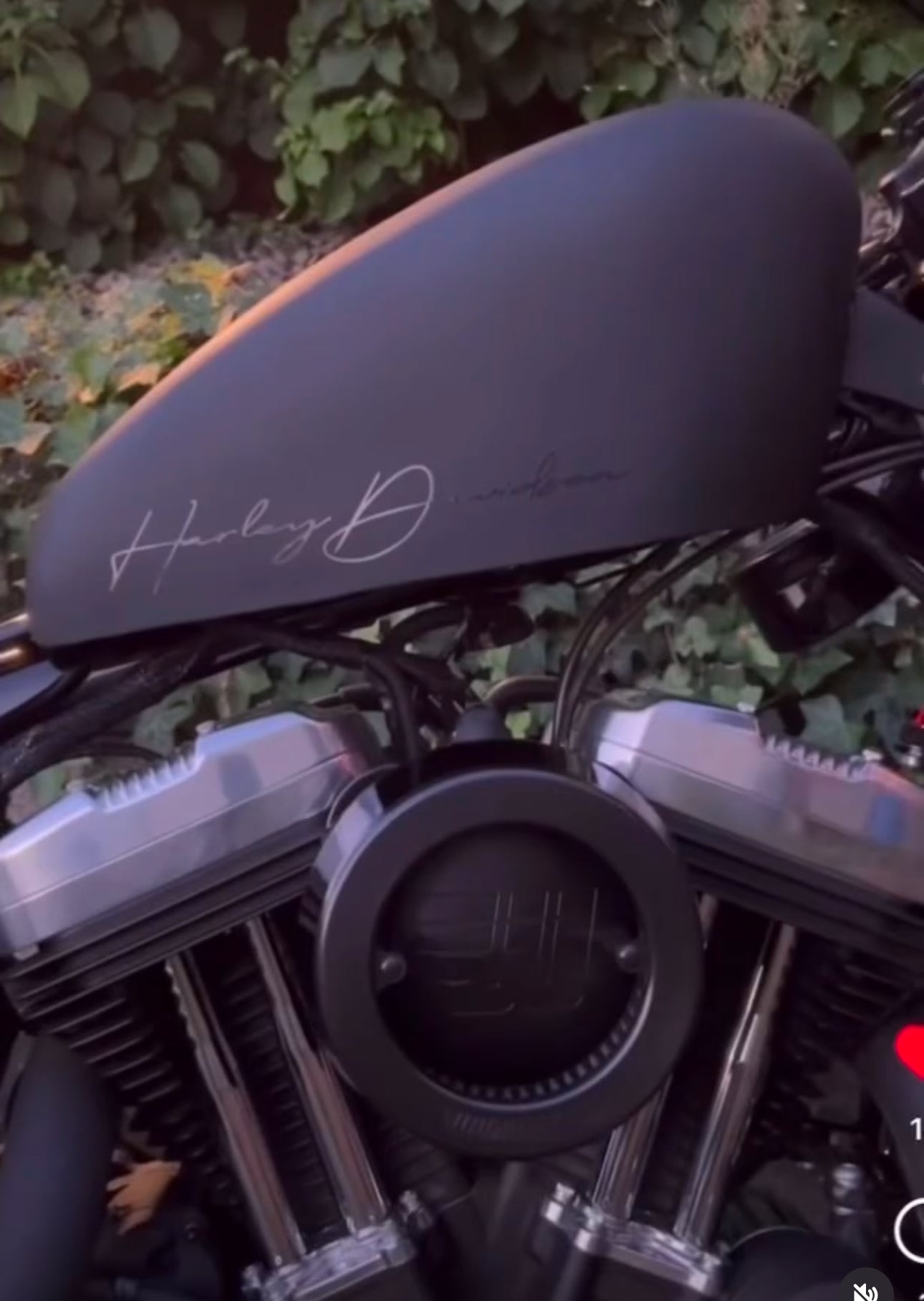 BLACK MATTE / GLOSSY HANDSCRIPT