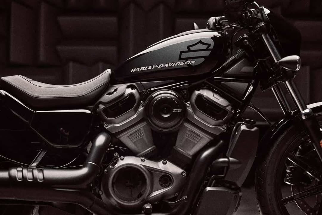 Big Sides - Sportster