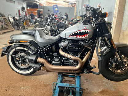 Metal Shark