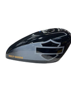 Big Sides - Sportster